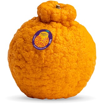 Sumo Citrus