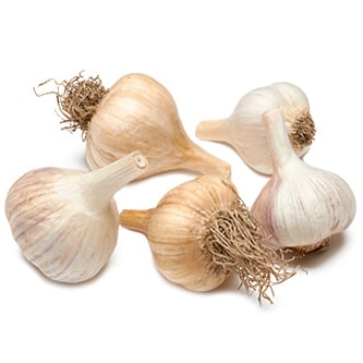 Lancaster Farm Fresh Cooperative Local Organic Garlic