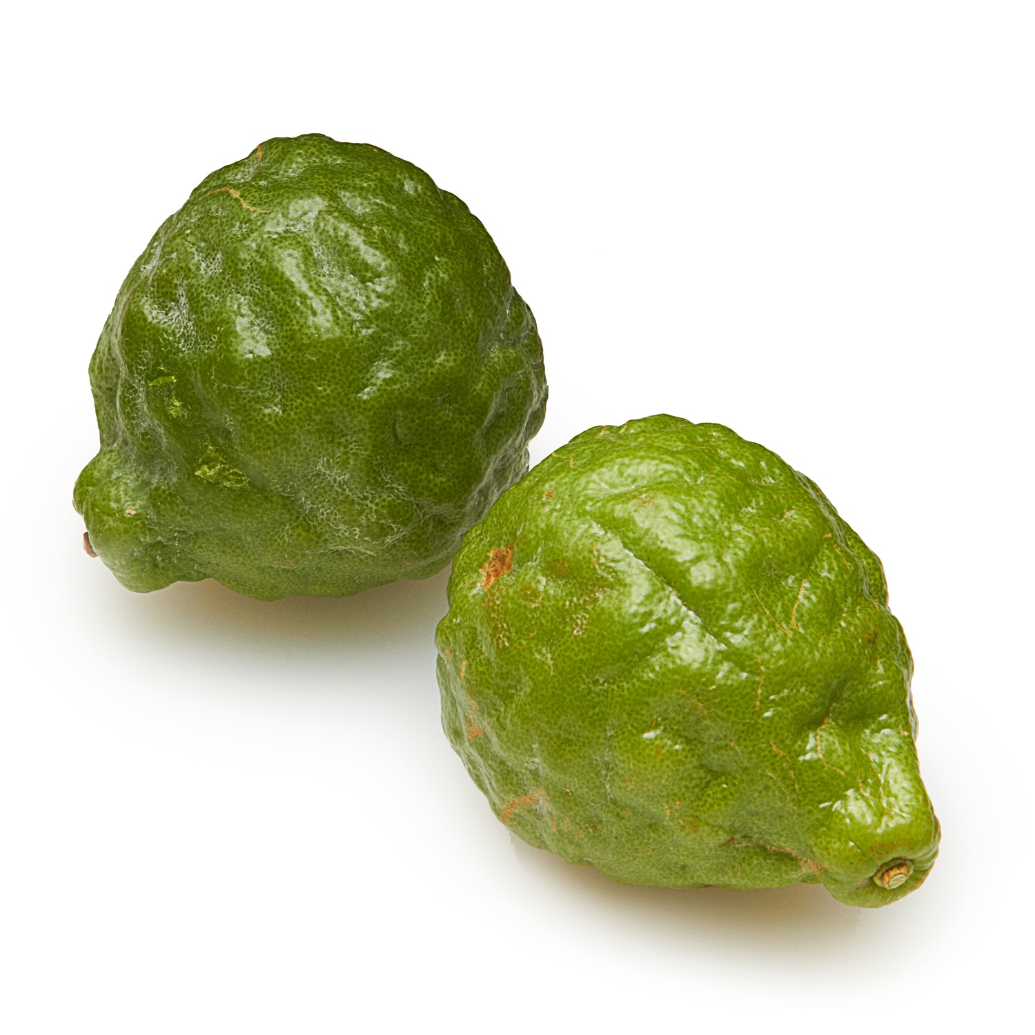 Makrut Lime Fruit 