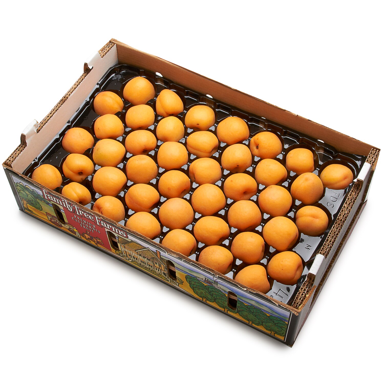 Family Tree Farms Best in Season Apricot, Case