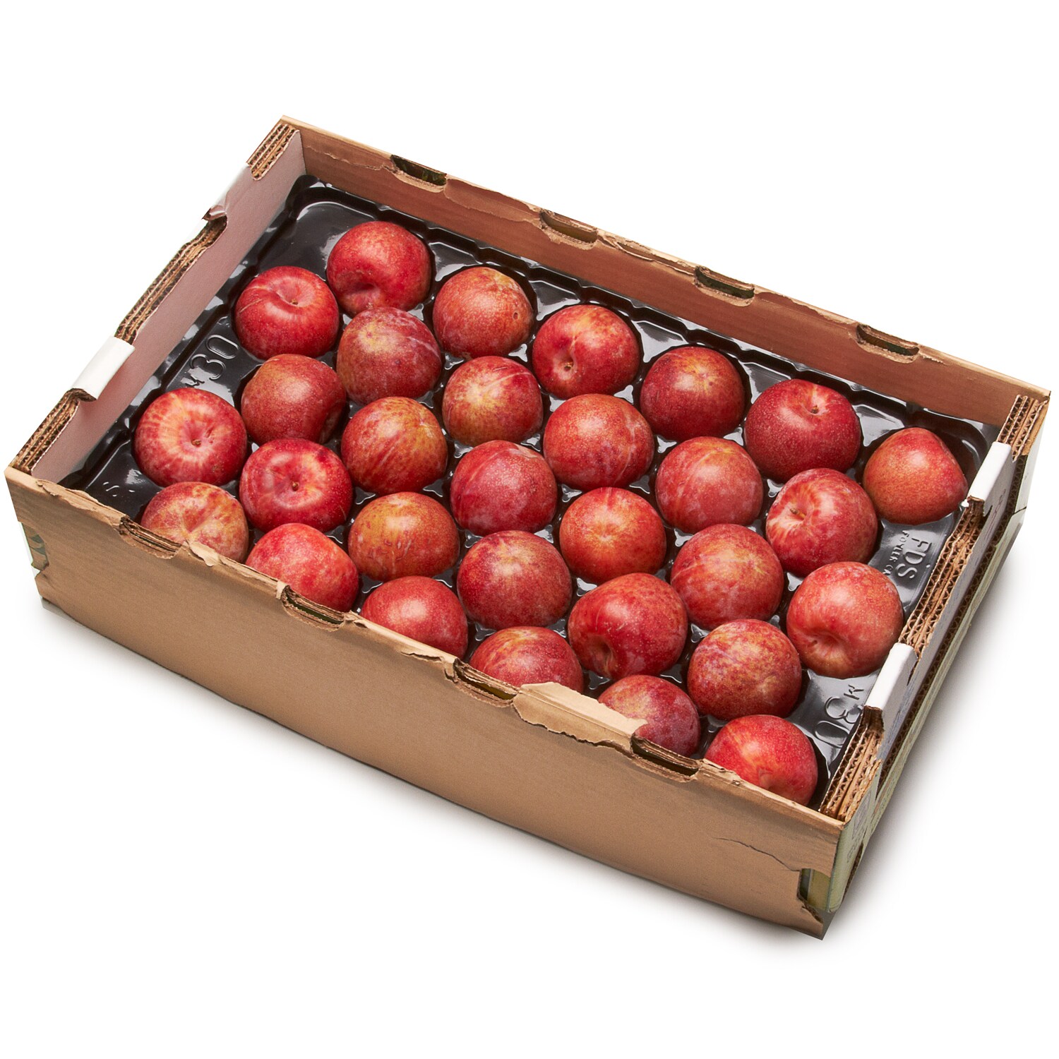 Best in Season Plums, Case