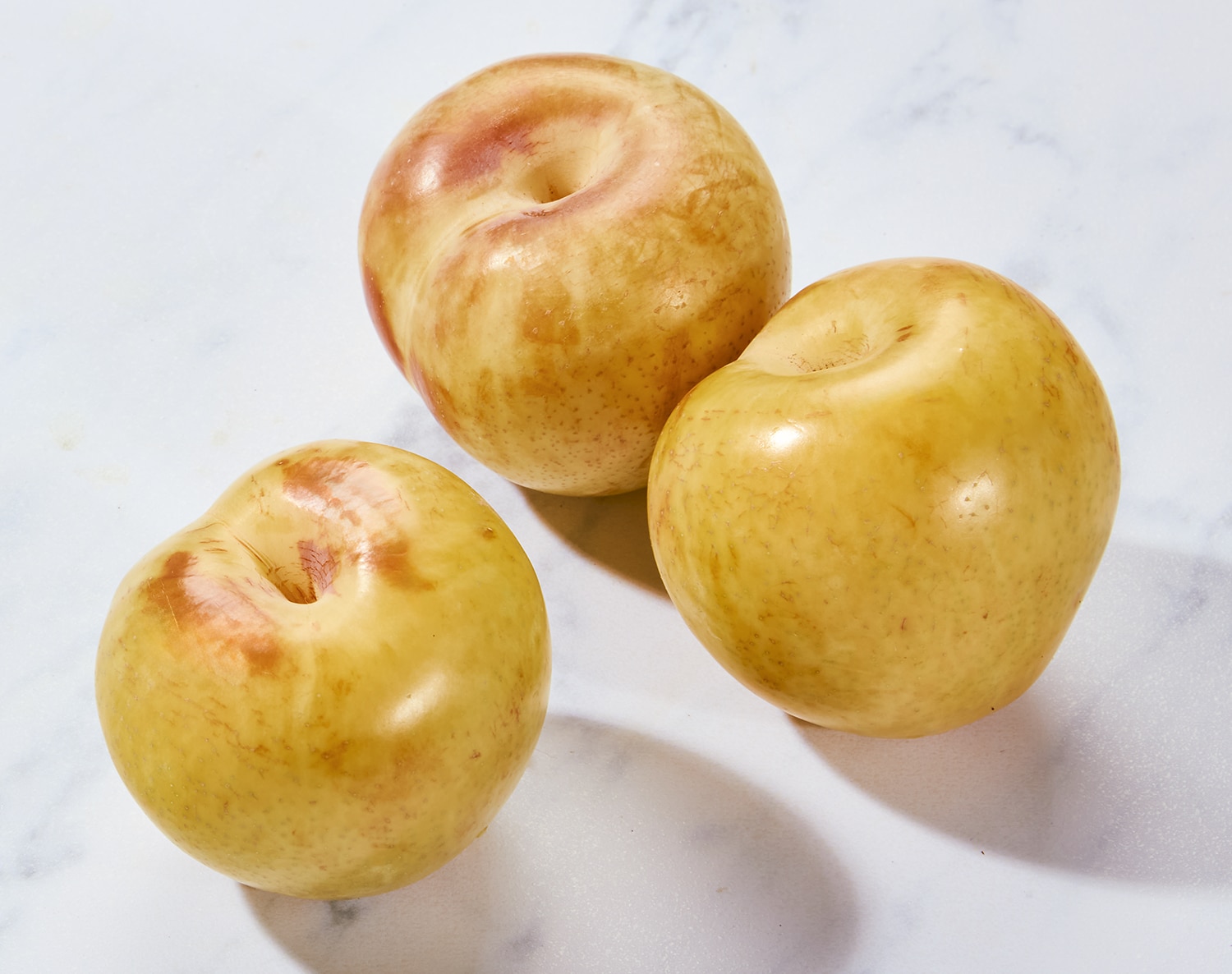 Family Tree Farms Golden Treat Plumcot