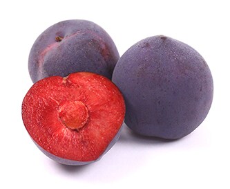 Family Tree Farms Midnight Rose Aprium