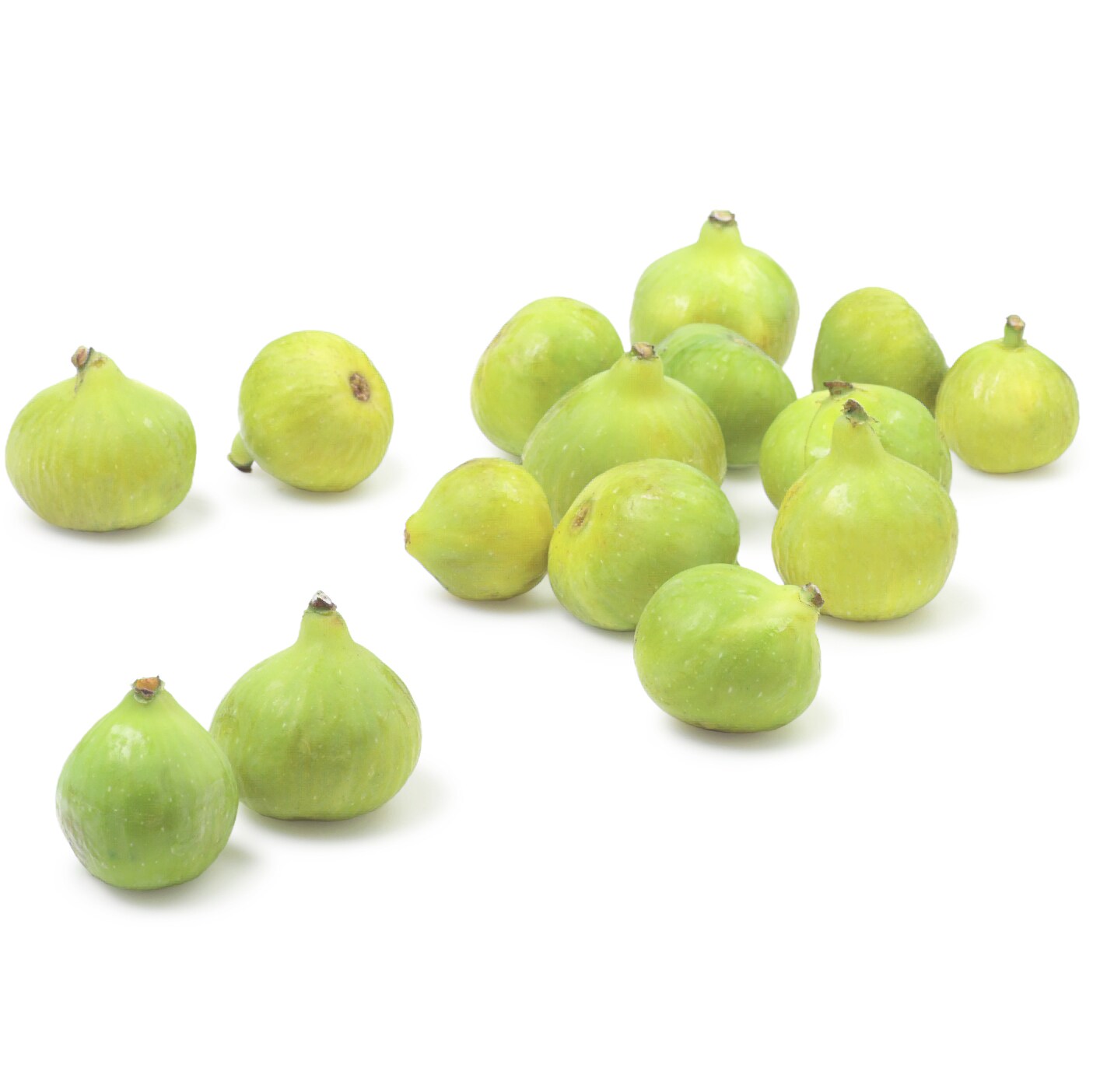 Sierra Figs