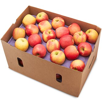 Pink Lady Apples, Case