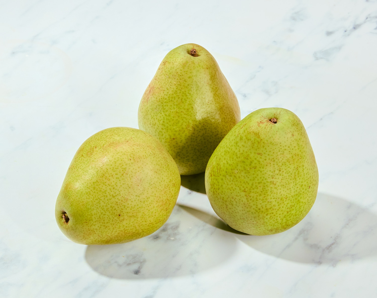 Danjou Pear, image 2 of 2 slides