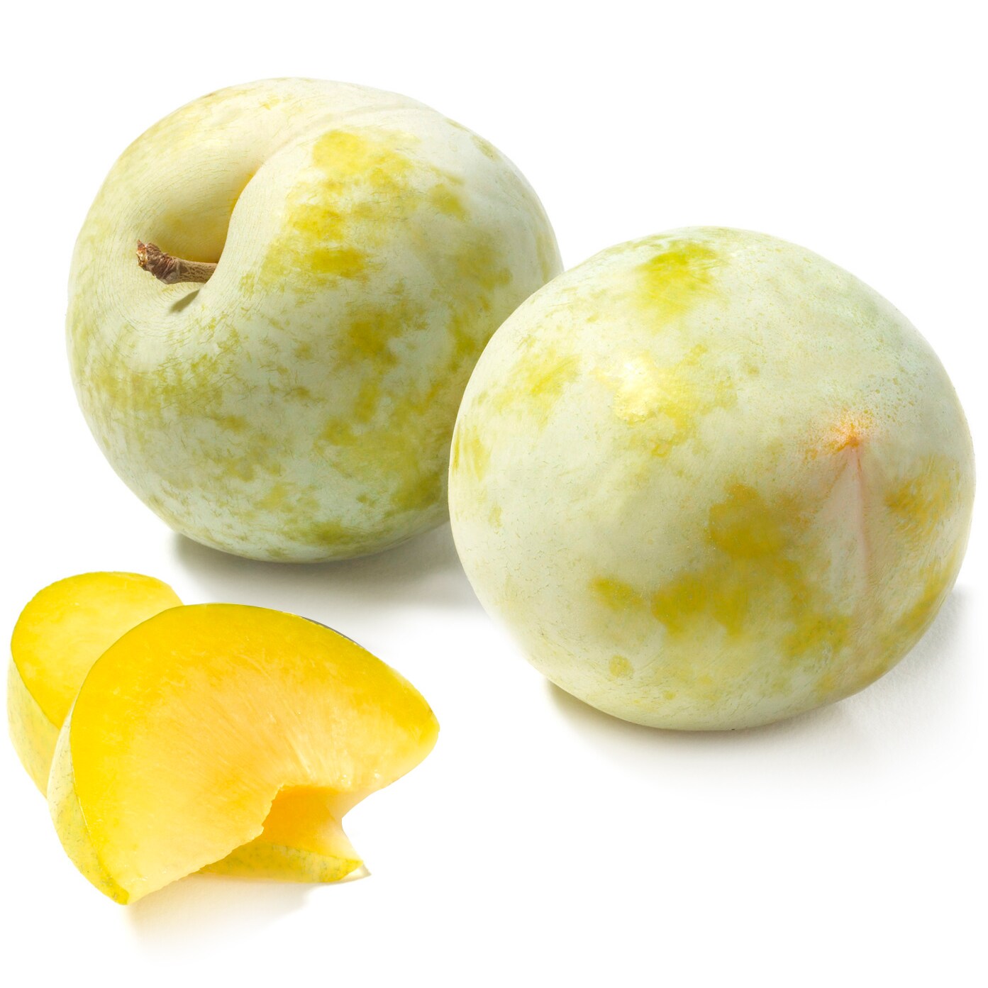 Family Tree Farms Turtle Egg Plumcot