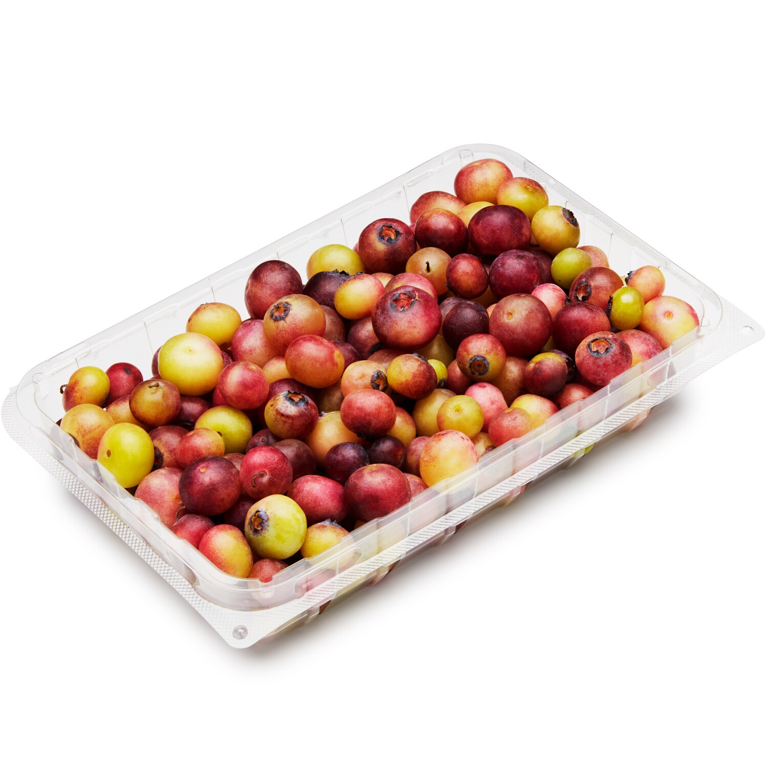 Naturipe Farms Color Rush Blueberries