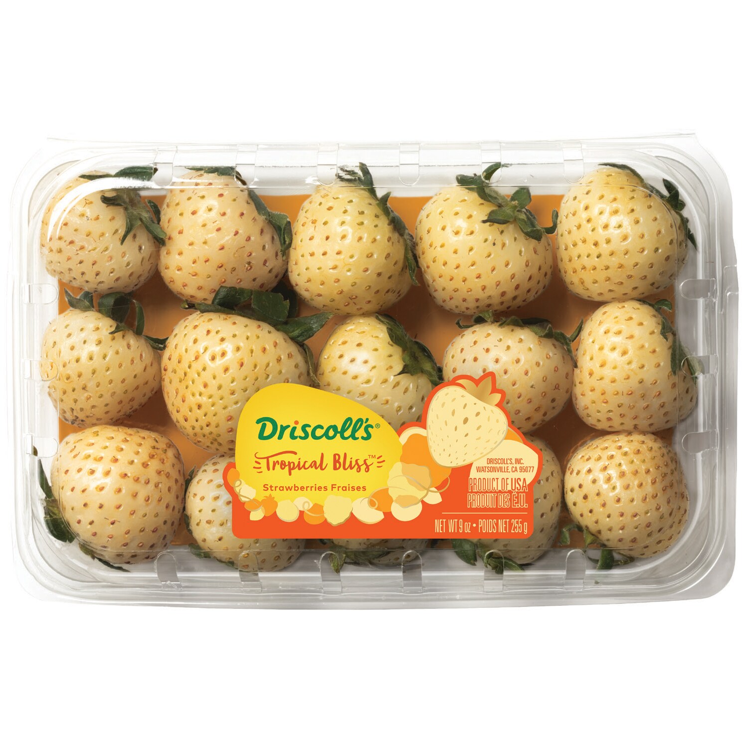 Driscoll's Tropical Bliss Strawberries