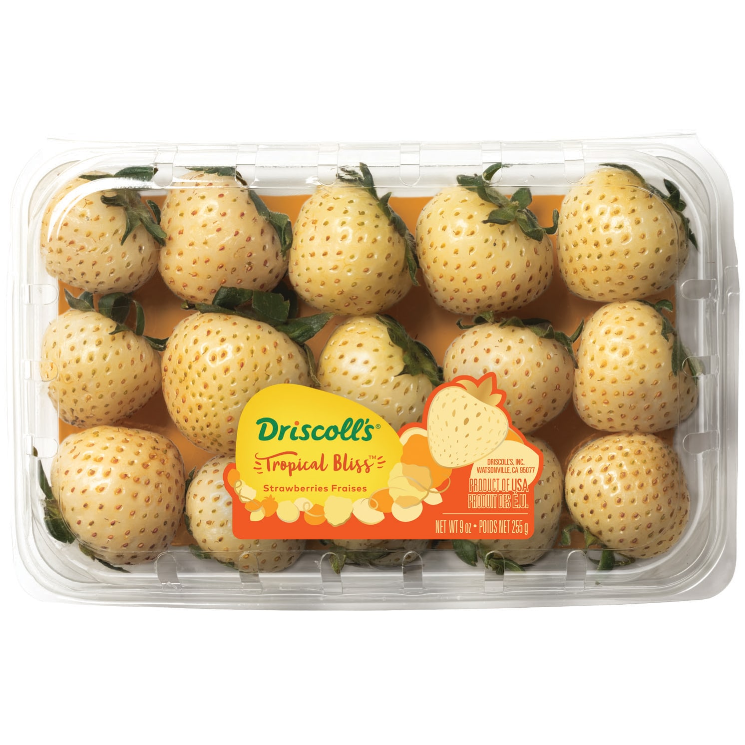Driscoll's Tropical Bliss Strawberries