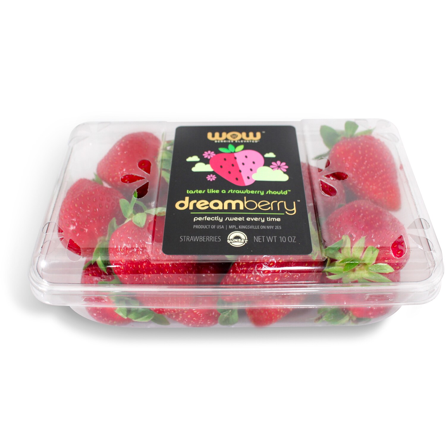 Sunset Grown WOW Dreamberry Strawberries