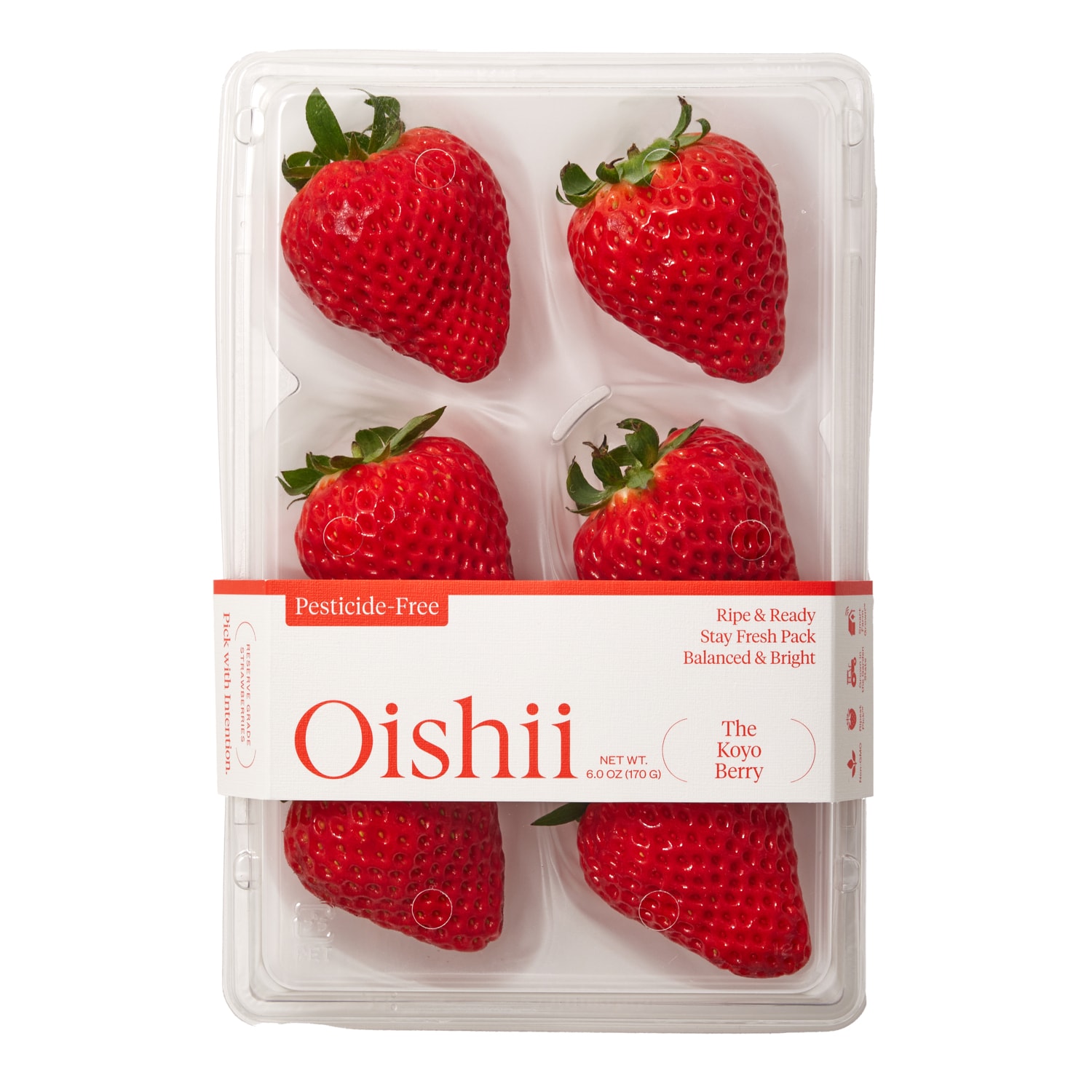 Oishii The Koyo Berry