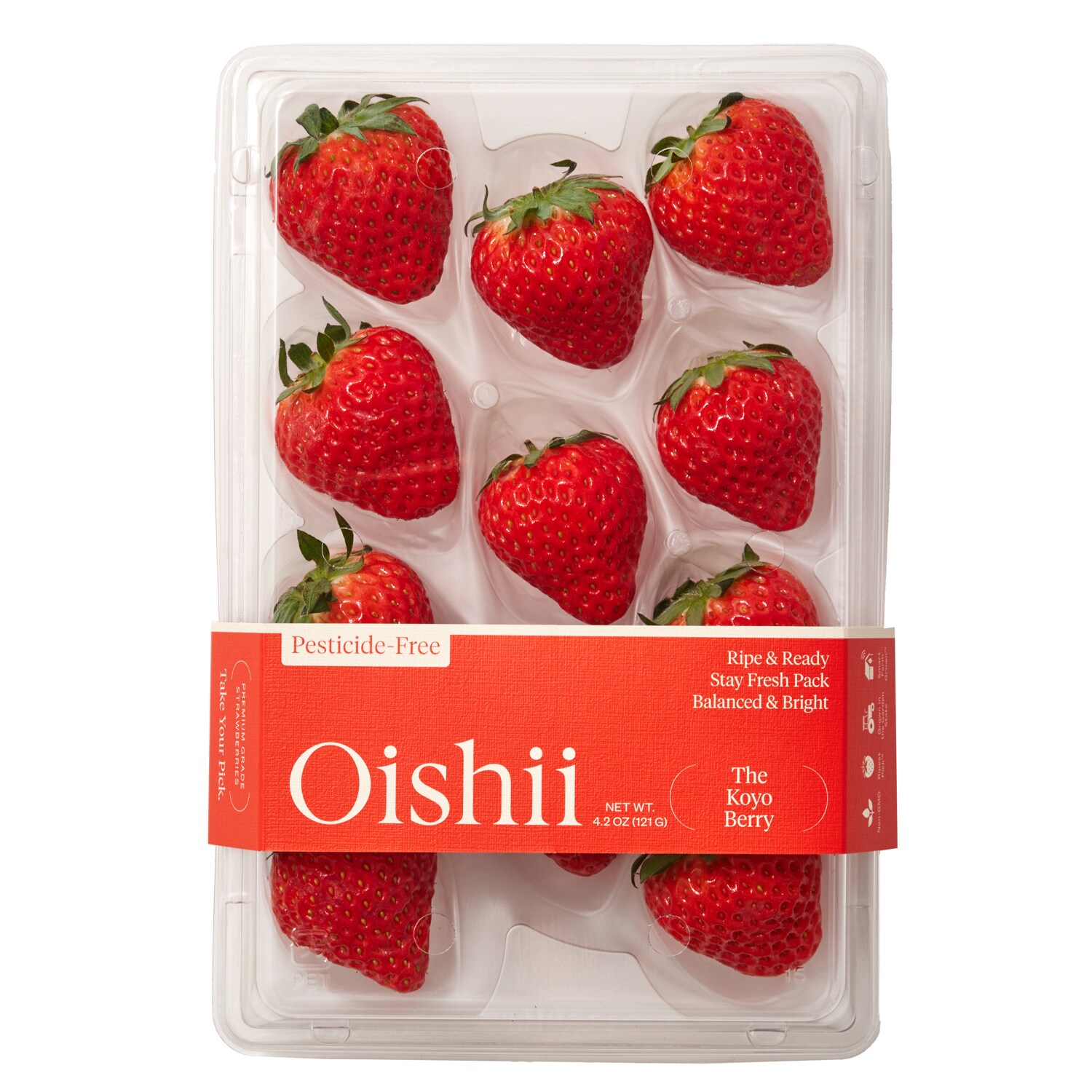 Oishii The Koyo Berry