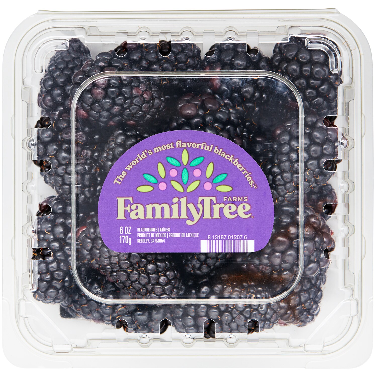 Family Tree Farms Blackberries