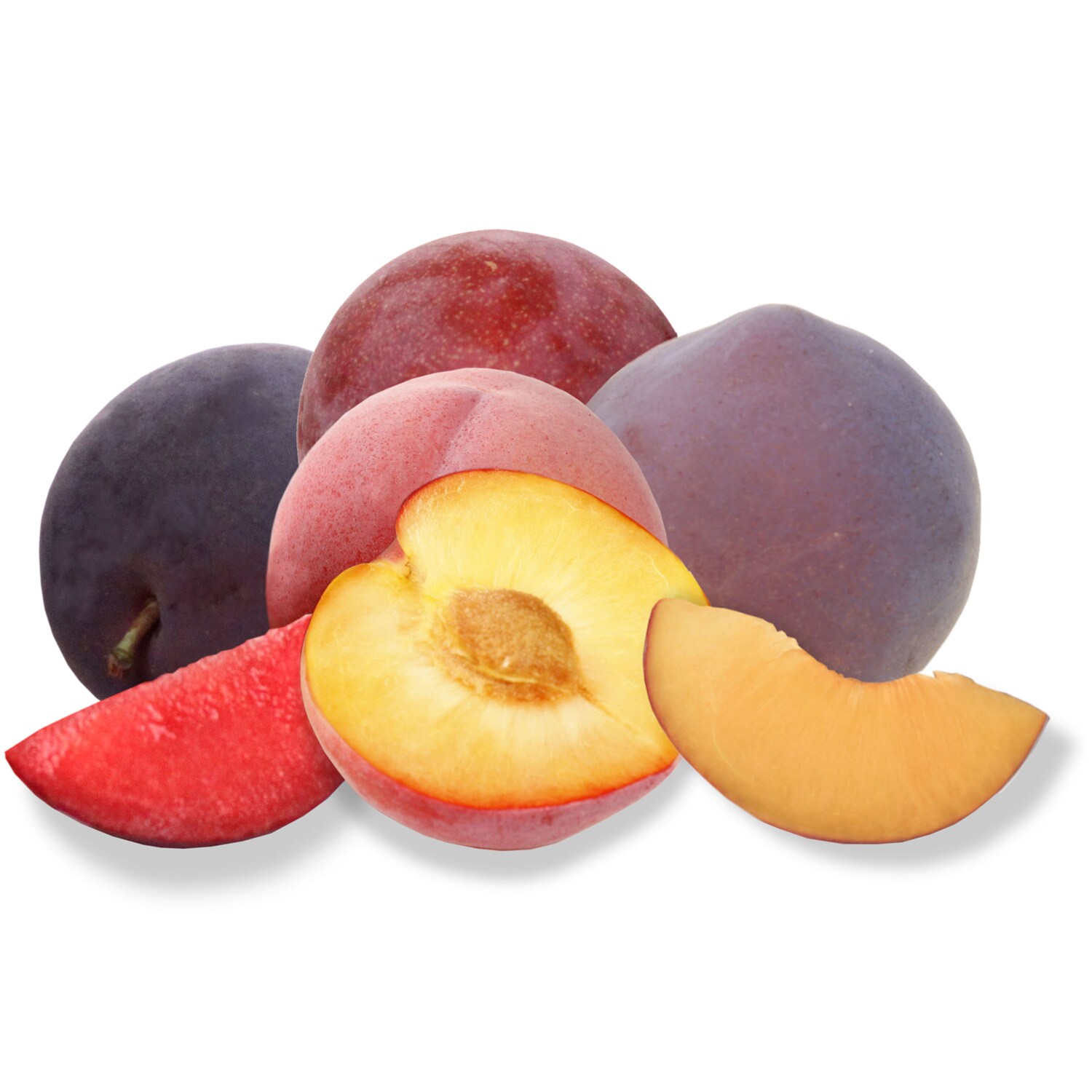 Family Tree Farms Aprium