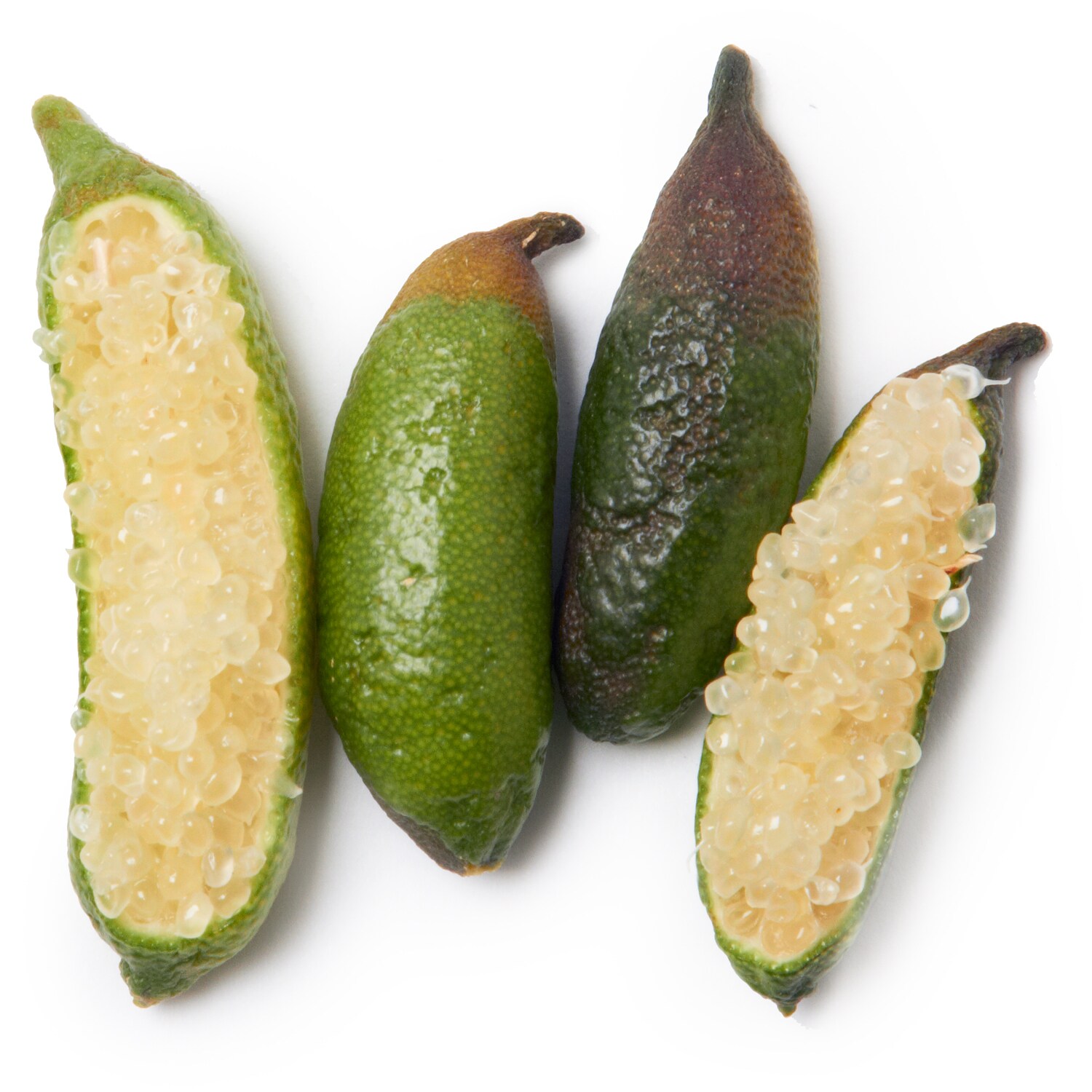 Flavors by Bhumi Finger Limes