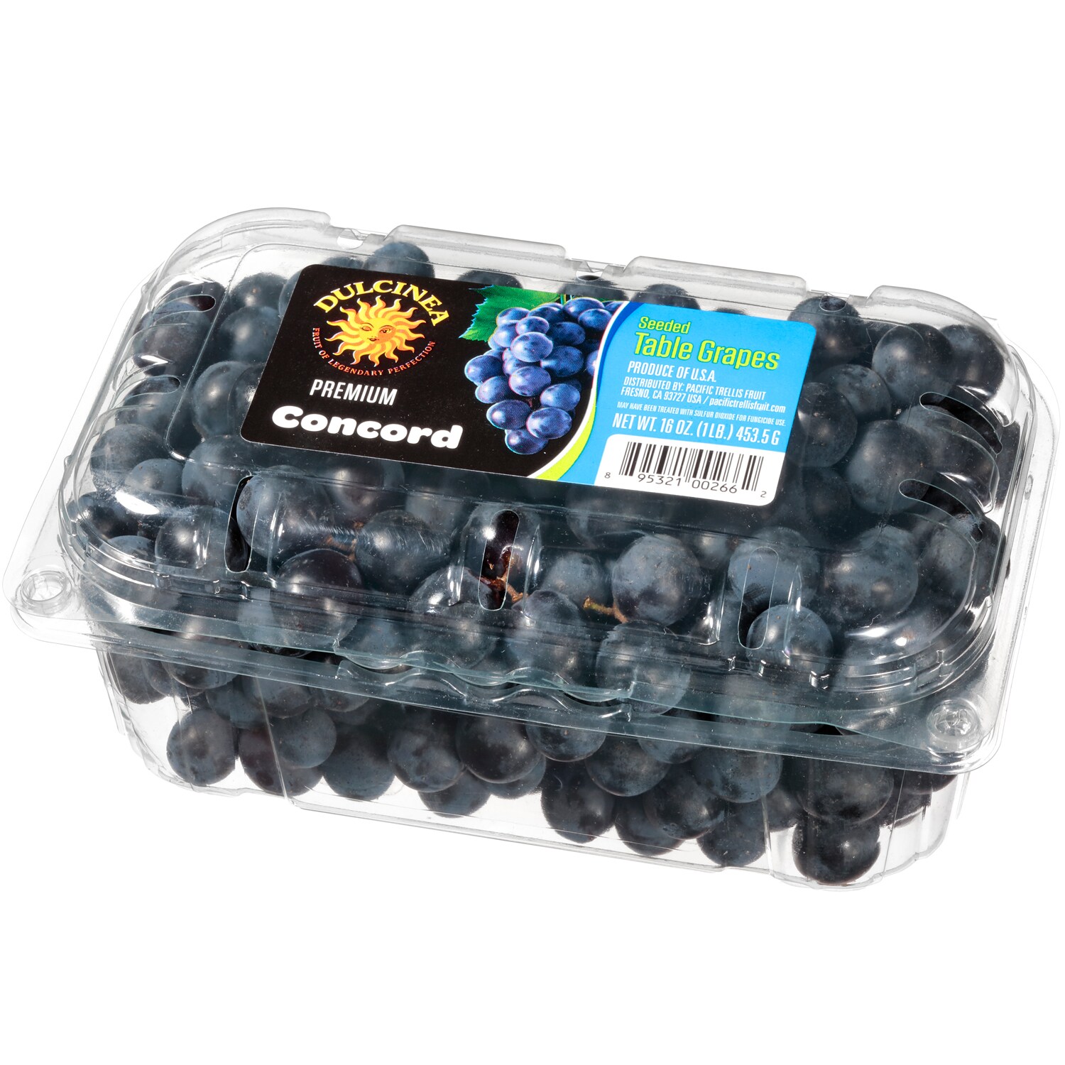 Dulcinea Premium Concord Seeded Table Grapes