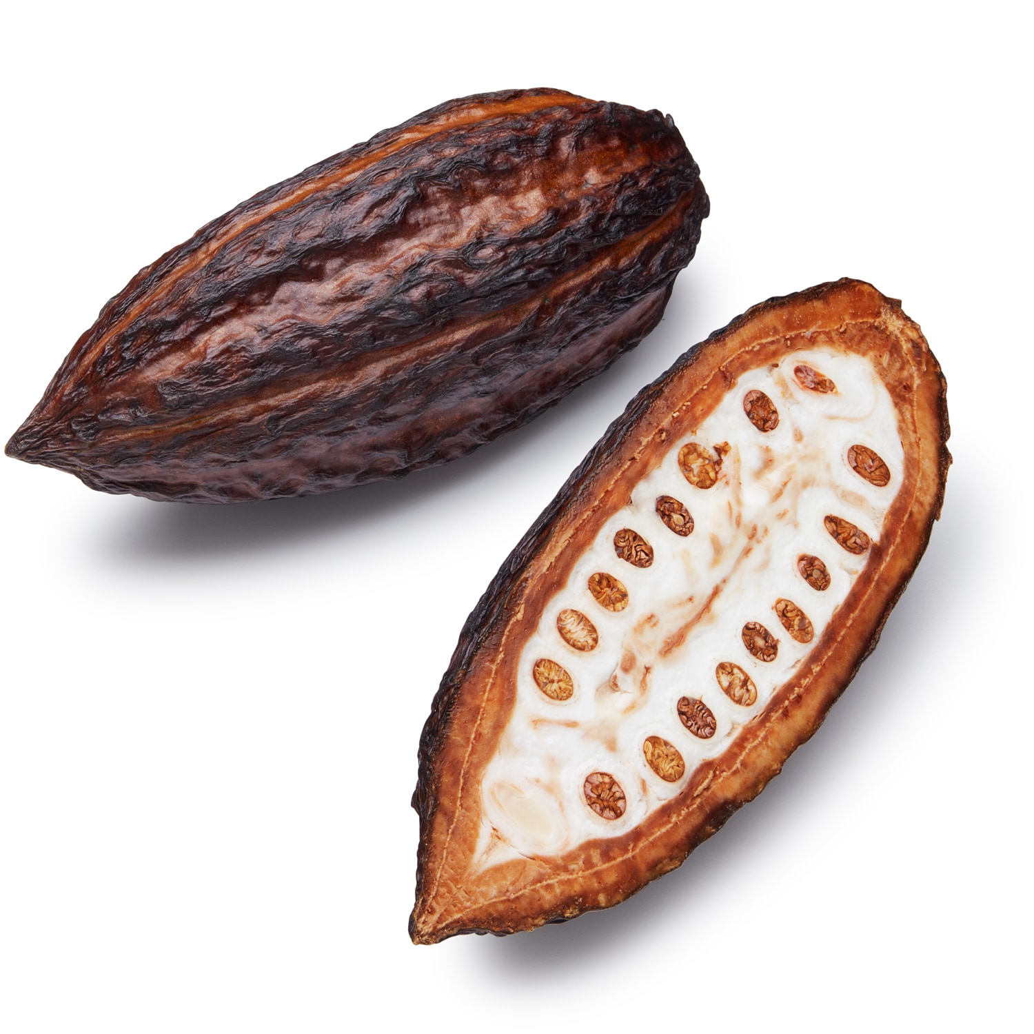 Cacao Fruit