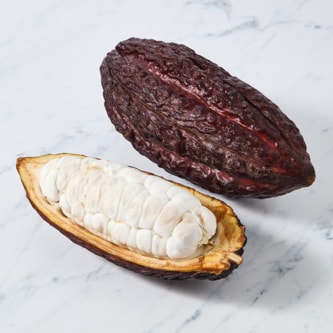 Cacao Fruit
