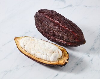 Cacao Fruit