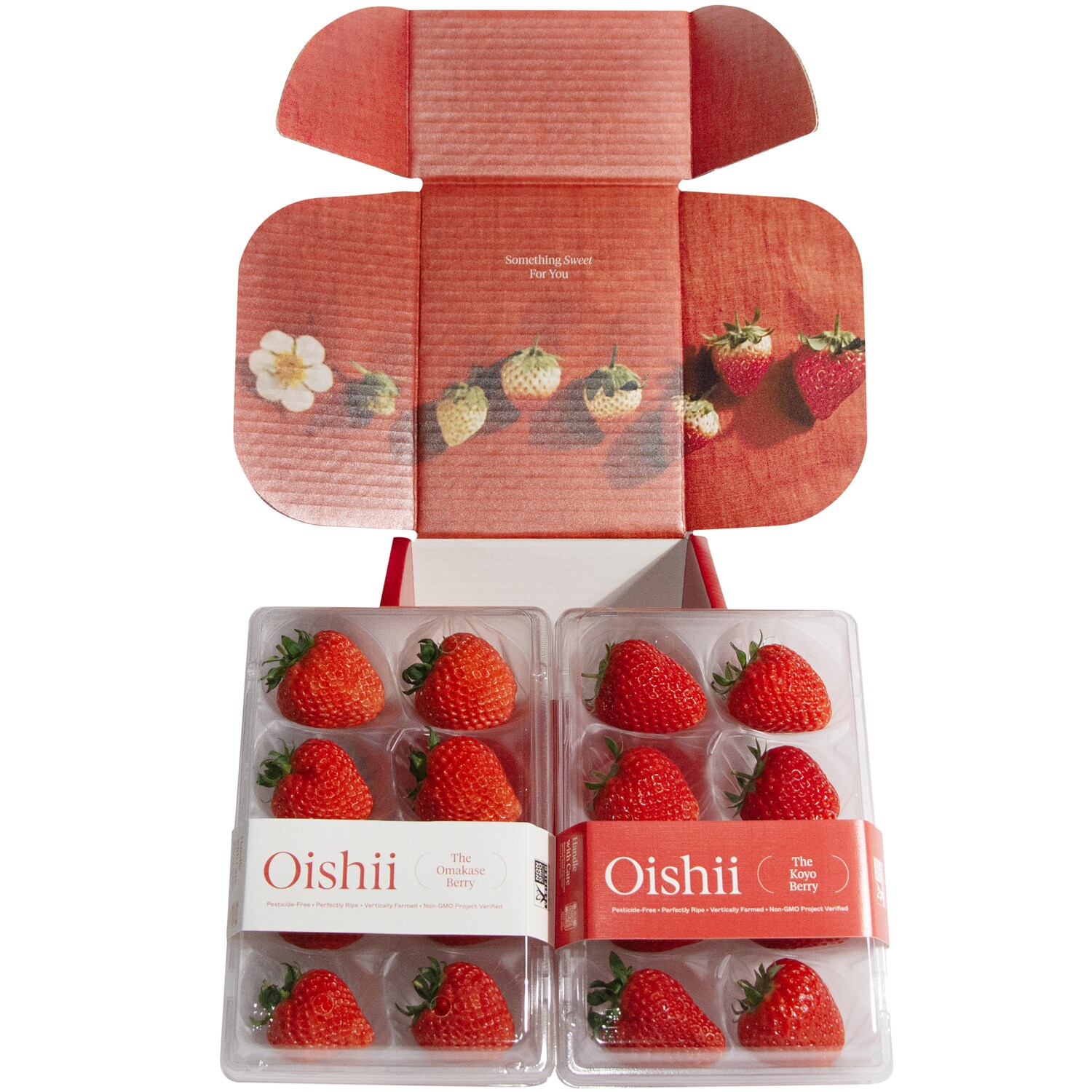 Oishii Limited Edition Gift Box FreshDirect