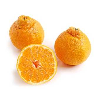 Family Tree Farms Sno-Mandarins