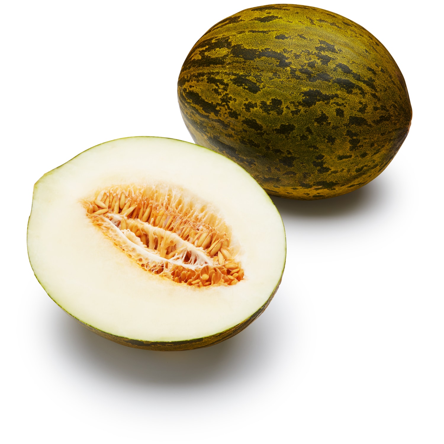 Piel del Sapo Melon