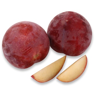 Family Tree Farms Crimson Rose Aprium
