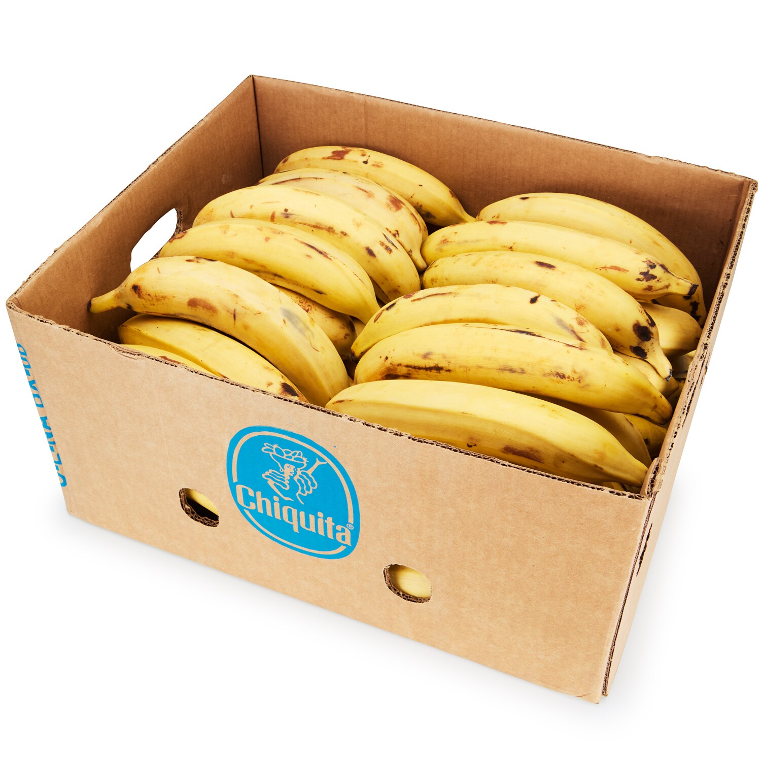 Plantain Yellow, Case