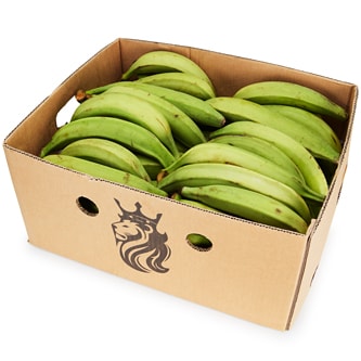 Plantain Green, Case
