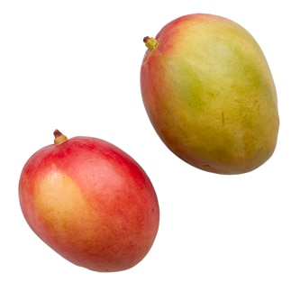 Kent Mango