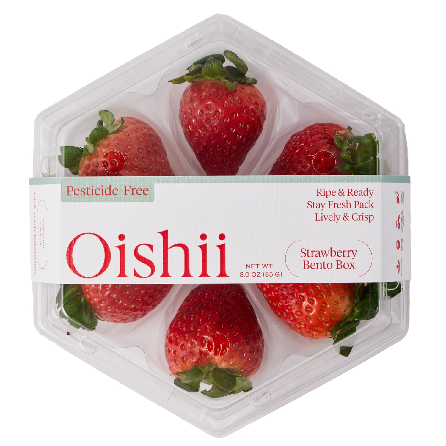Oishii Strawberry Bento Box