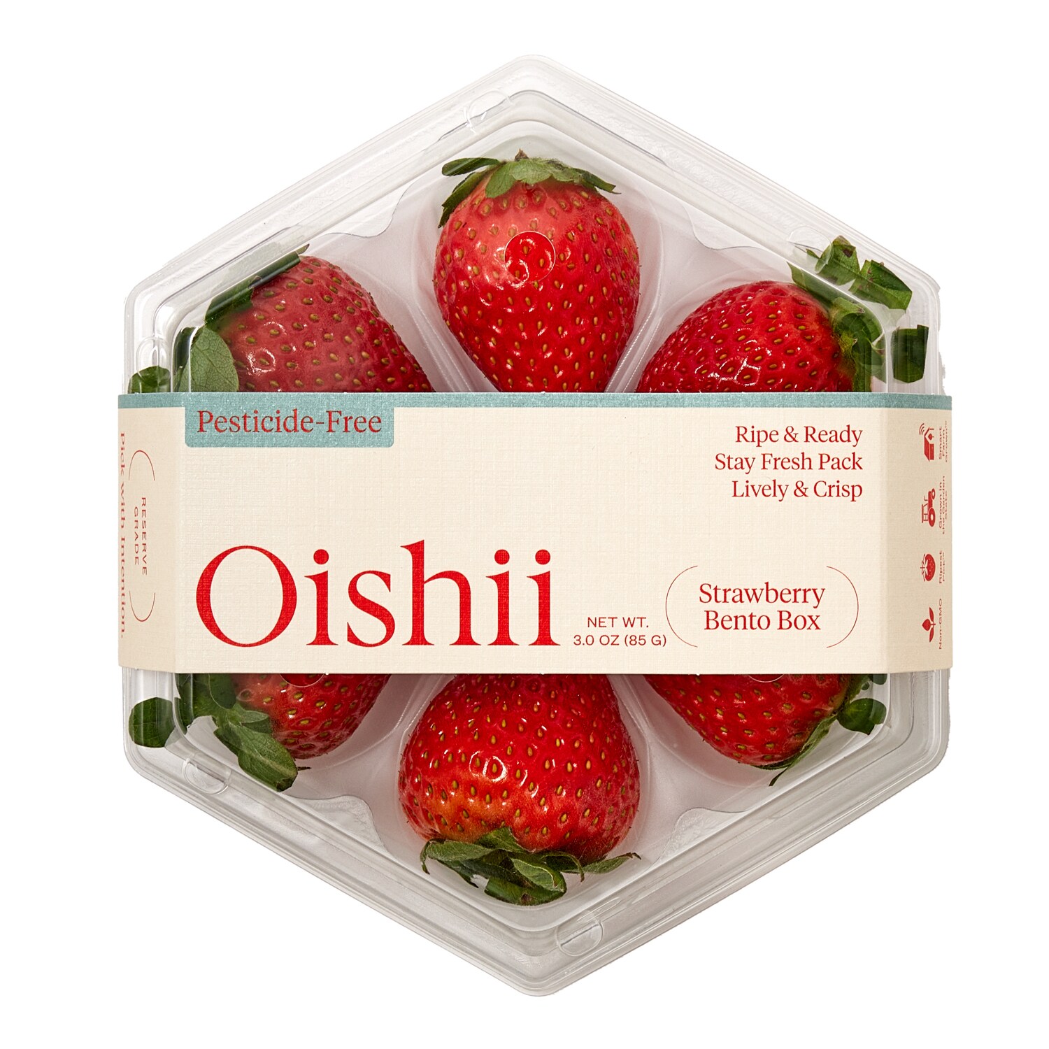 Oishii Strawberry Bento Box