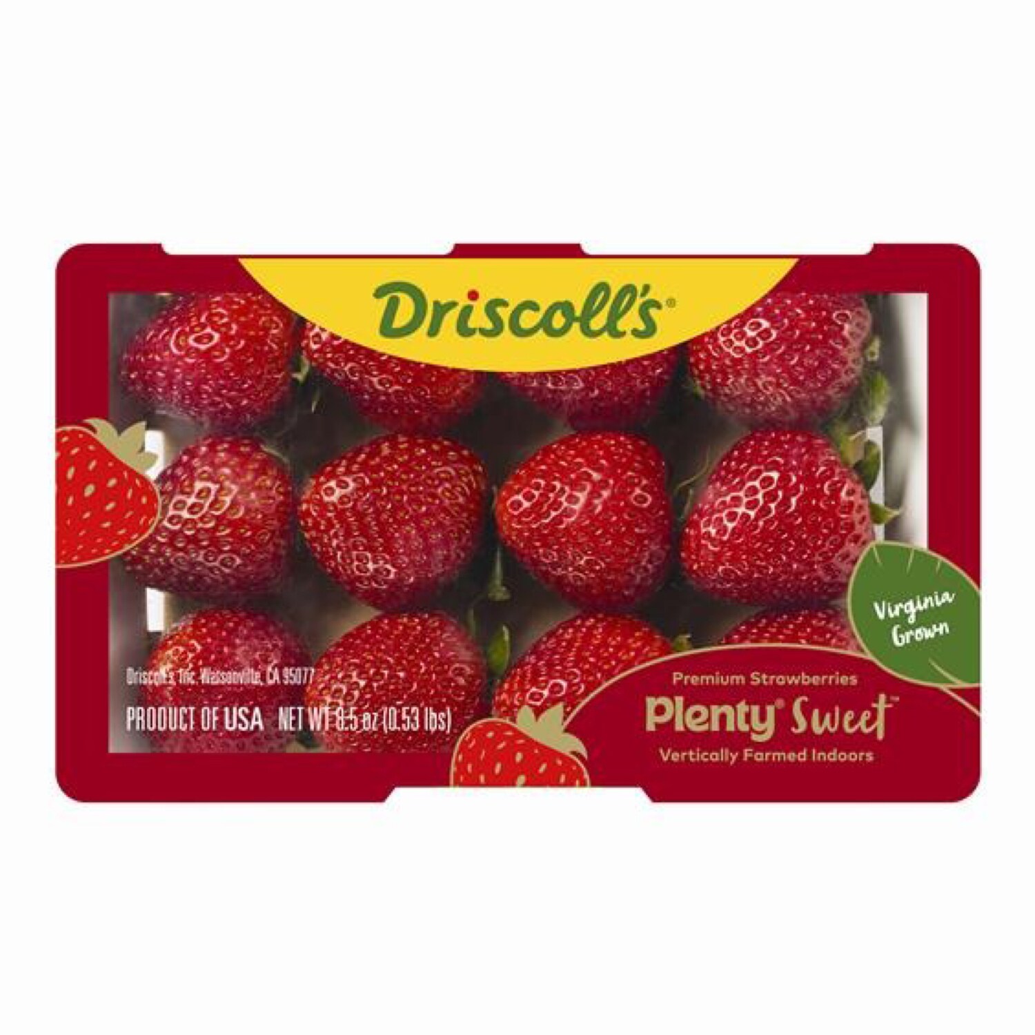 Driscoll's Plenty Sweet Premium Strawberries