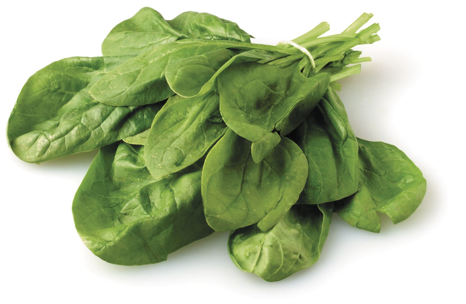 Organic Spinach