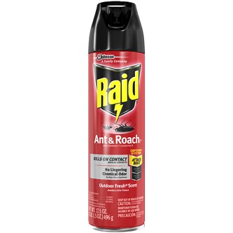 Raid Ant & Roach Killing Spray, Outdoor Fresh Scent