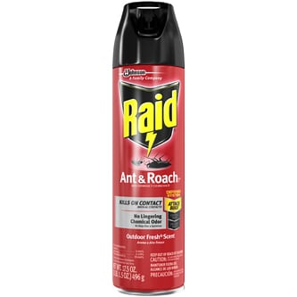 Raid Ant & Roach Killing Spray, Outdoor Fresh Scent