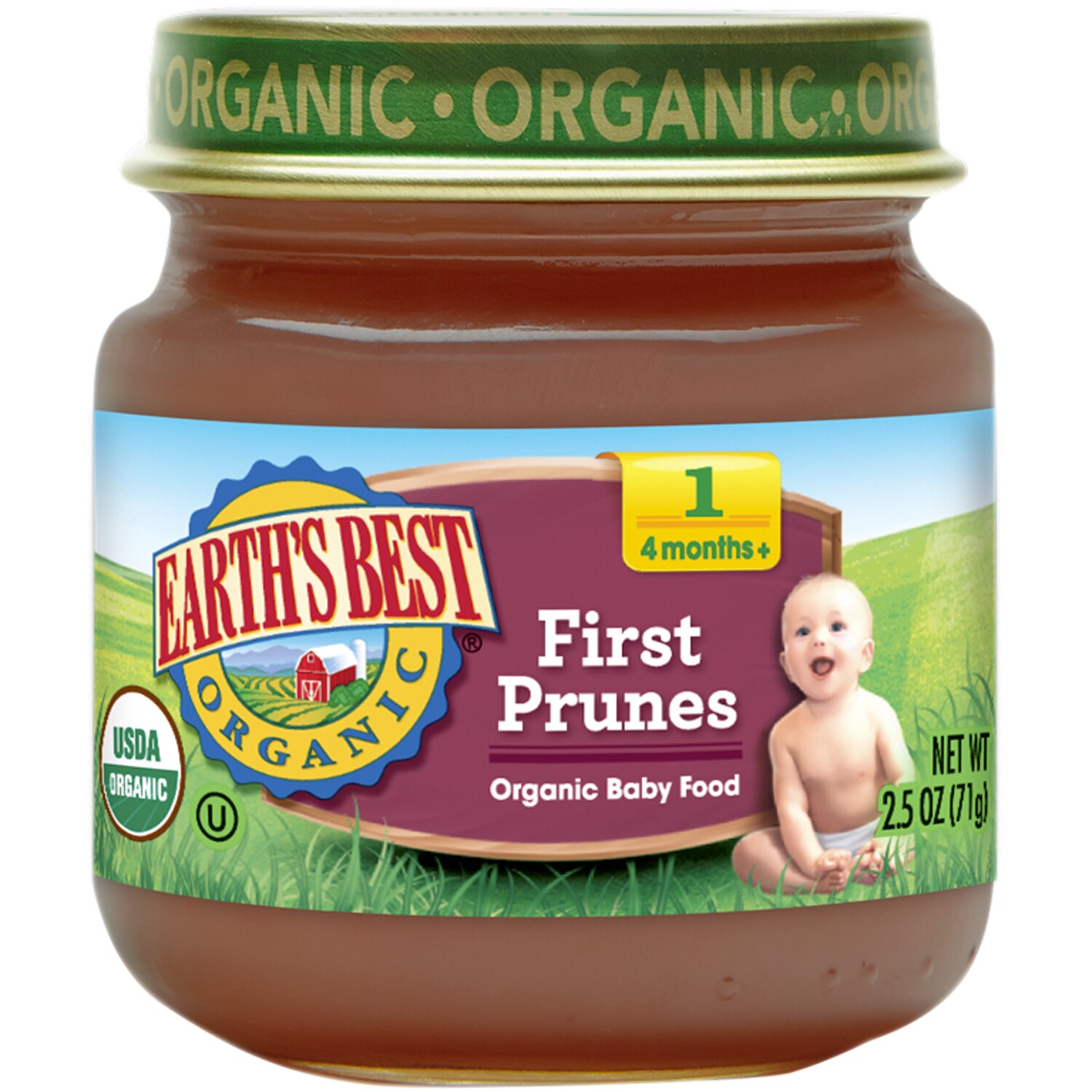 earth's best organic stage 1 baby food