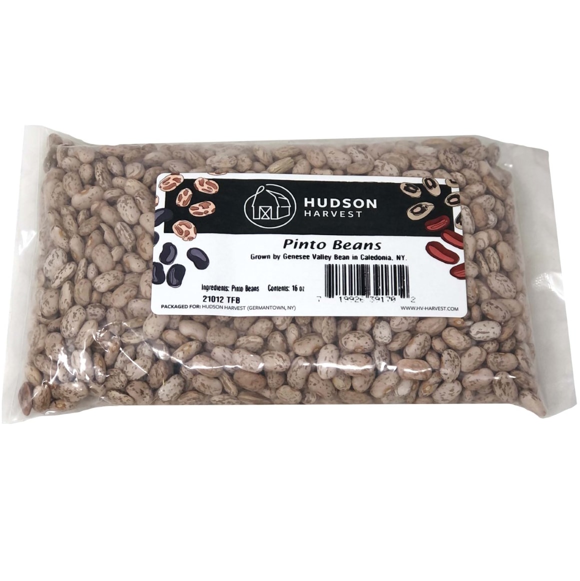 Hudson Harvest Pinto Beans