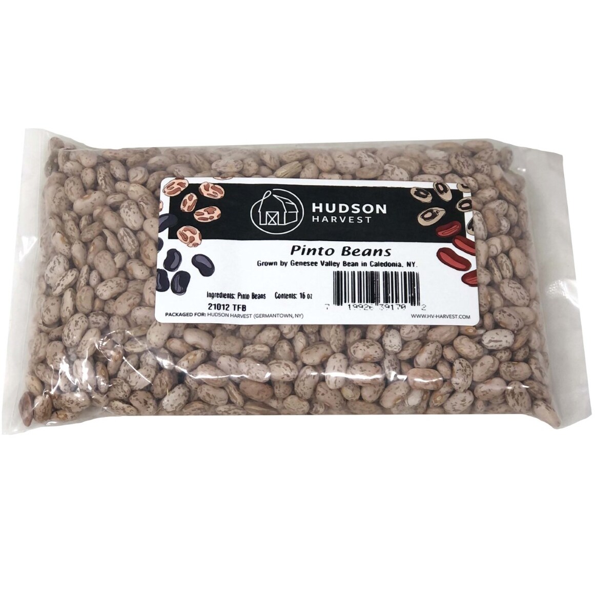 Hudson Harvest Pinto Beans