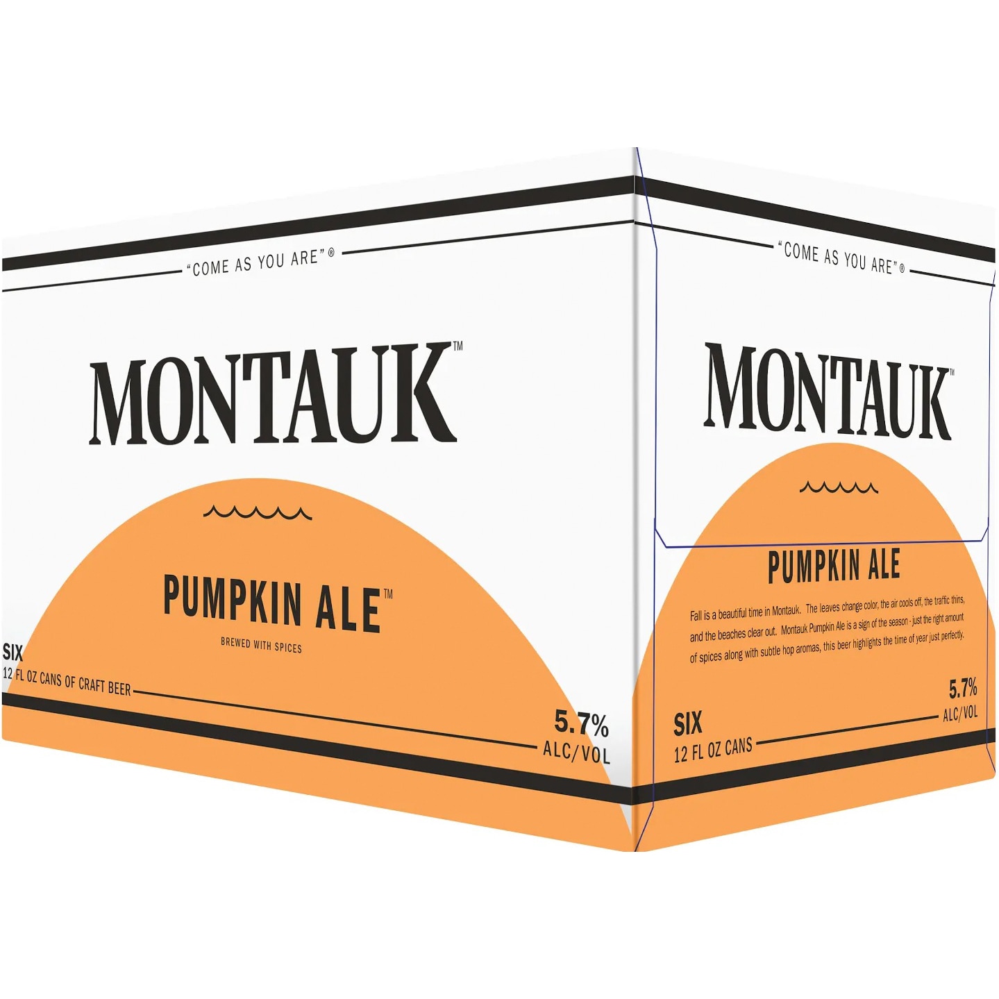 Montauk Brewing Pumpkin Ale, Cans