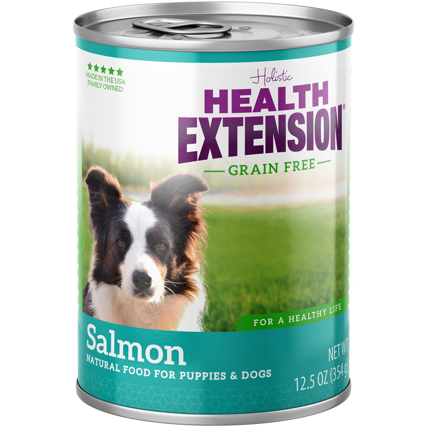 Health Extension Grain Free Wet Dog Food, Salmon