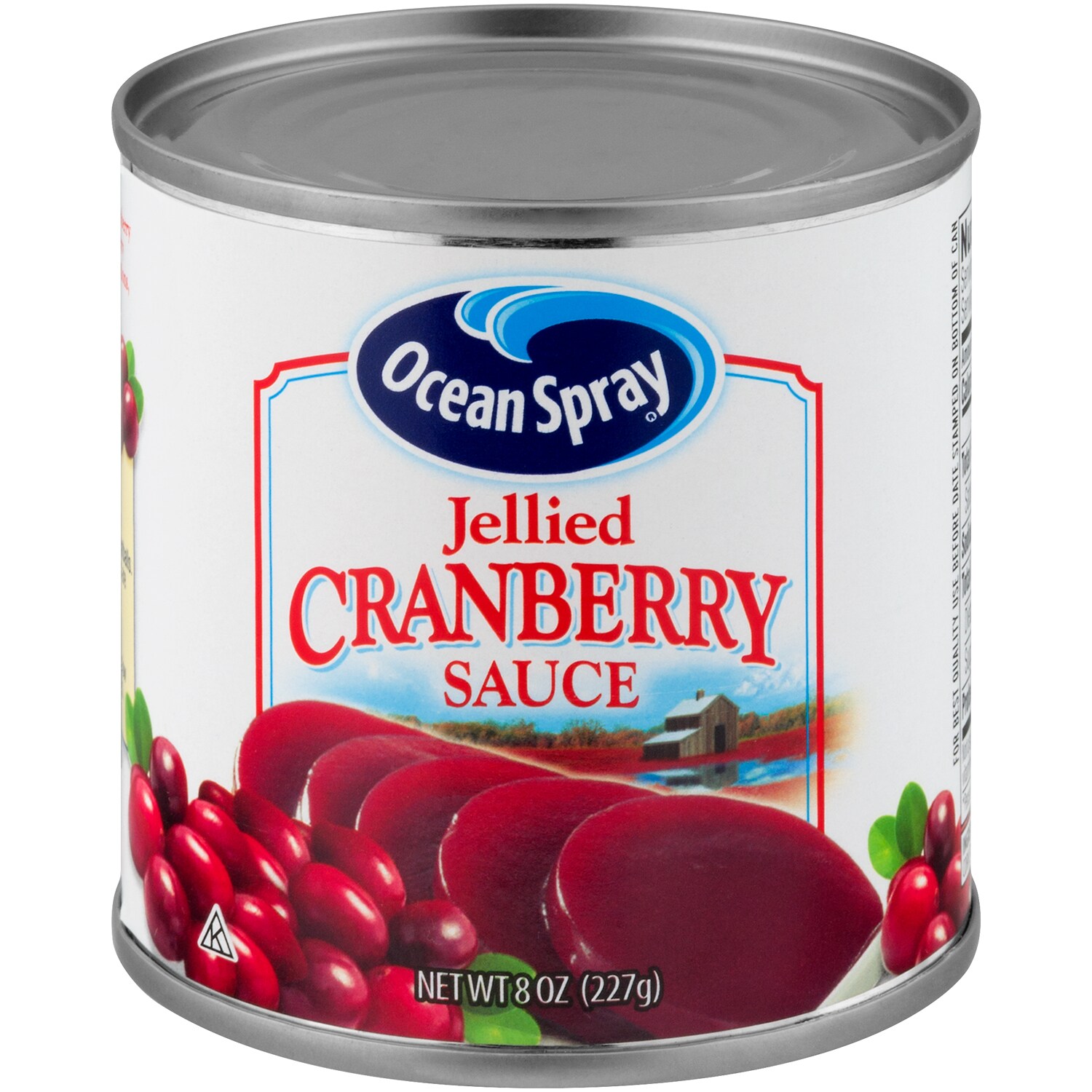 Ocean Spray Jellied Cranberry Sauce