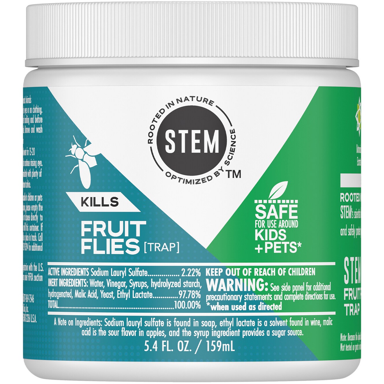 STEM Fruit Flies Trap