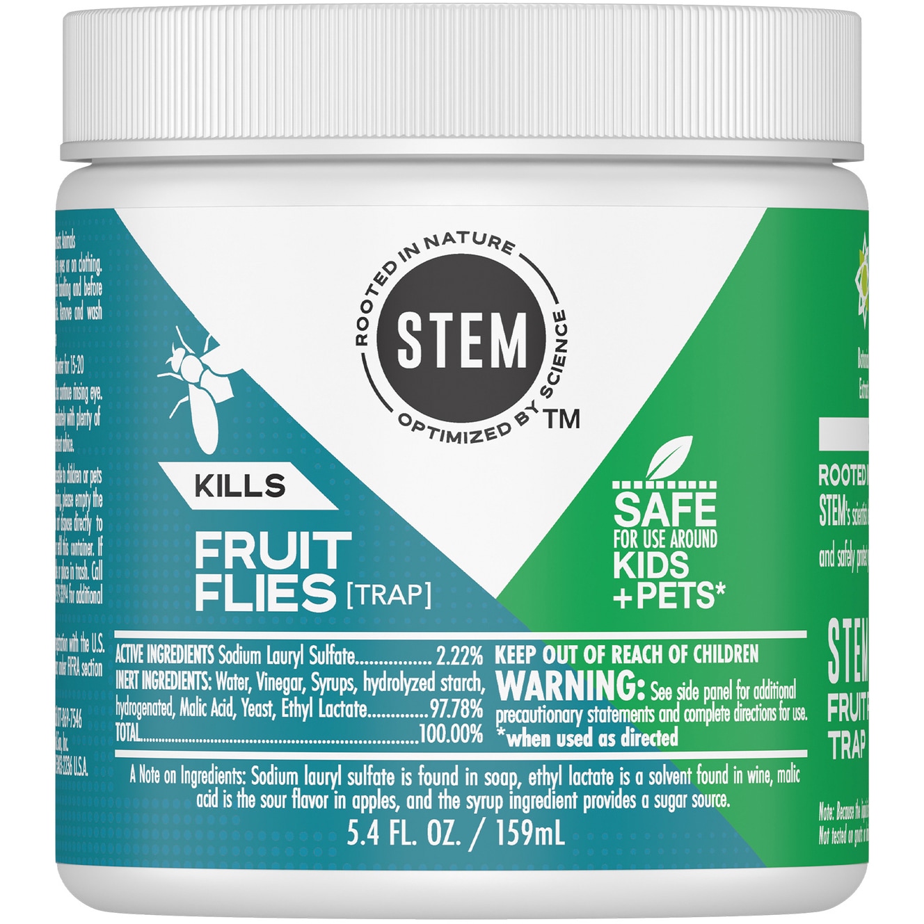 STEM Fruit Flies Trap