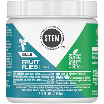 STEM Fruit Flies Trap