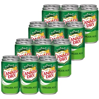 Canada Dry Ginger Ale, Cans