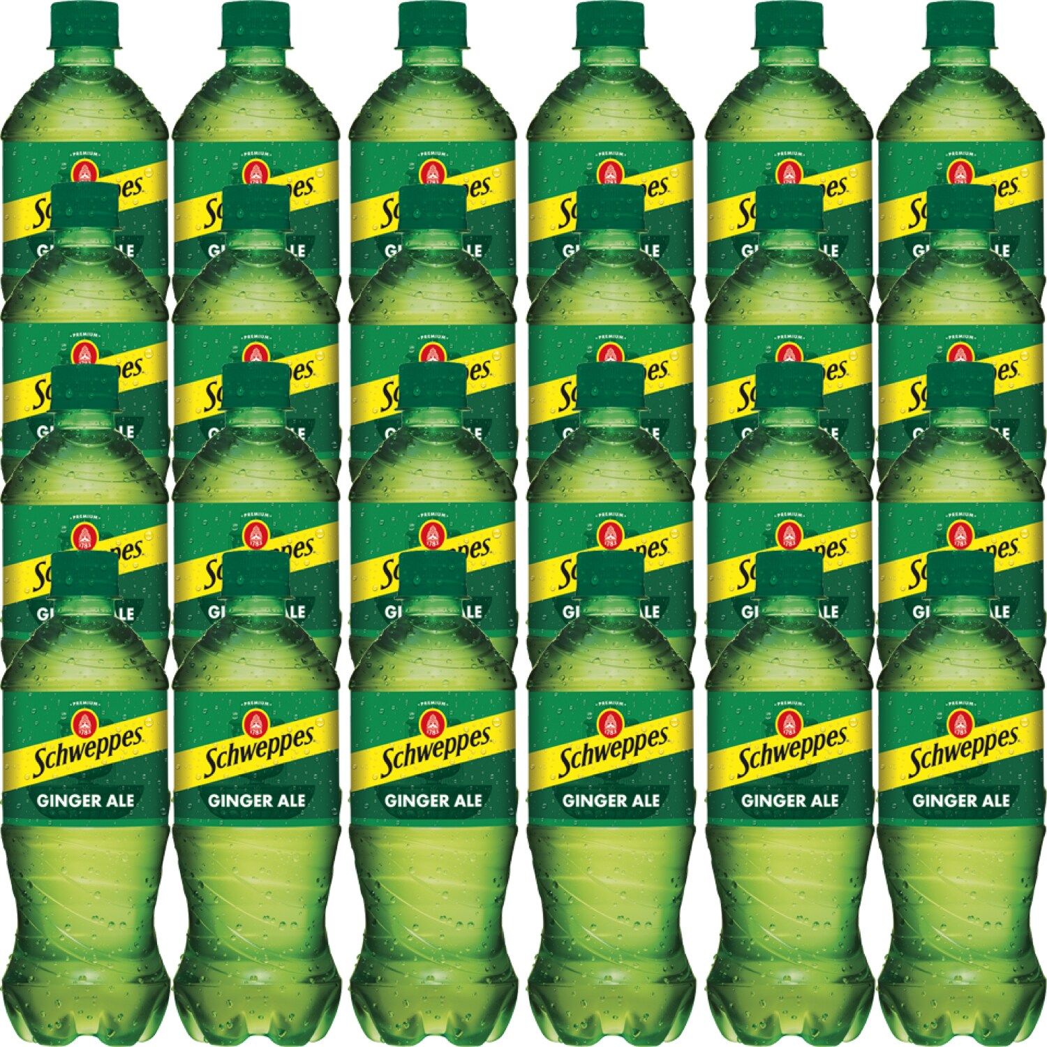 Schweppes Ginger Ale, Plastic Bottles