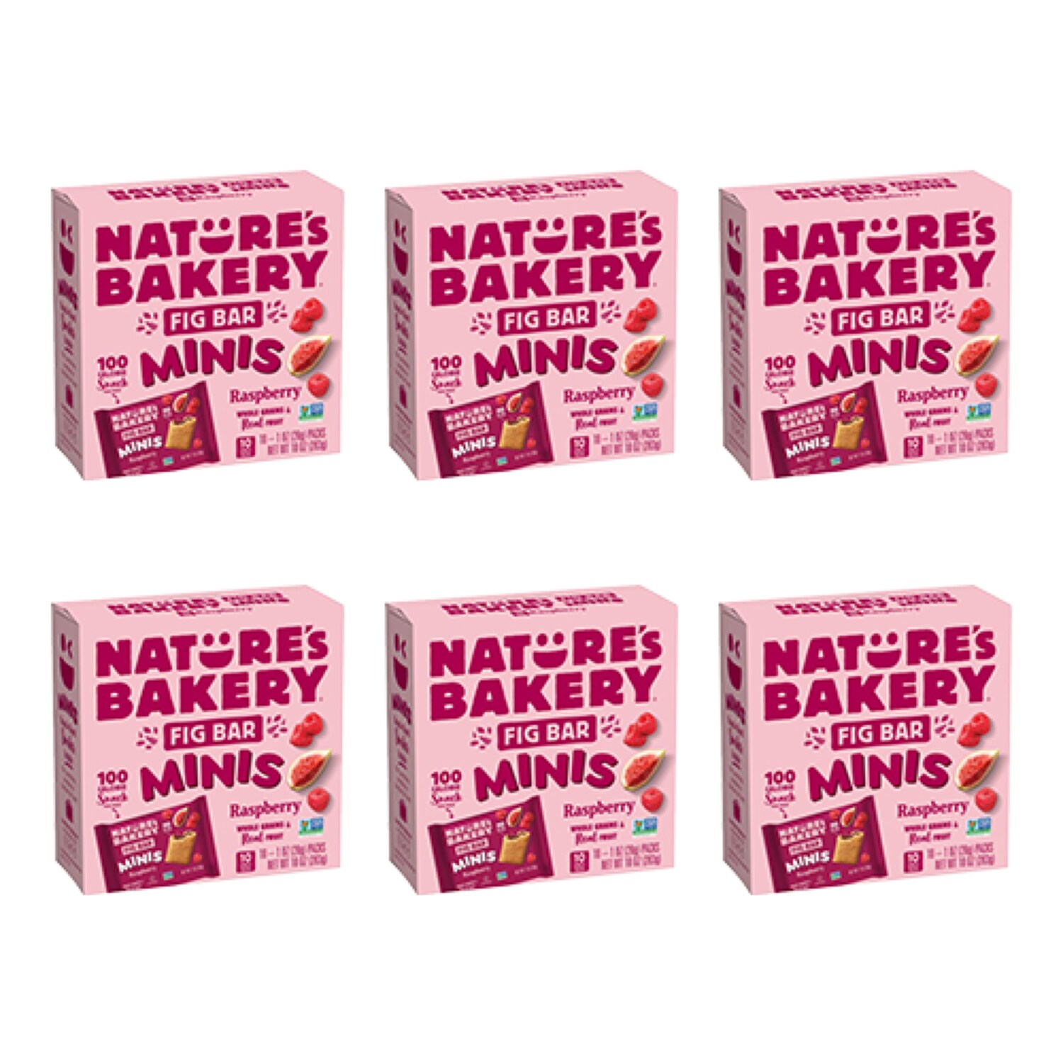 Nature's Bakery Fig Mini Bars, Raspberry, Case