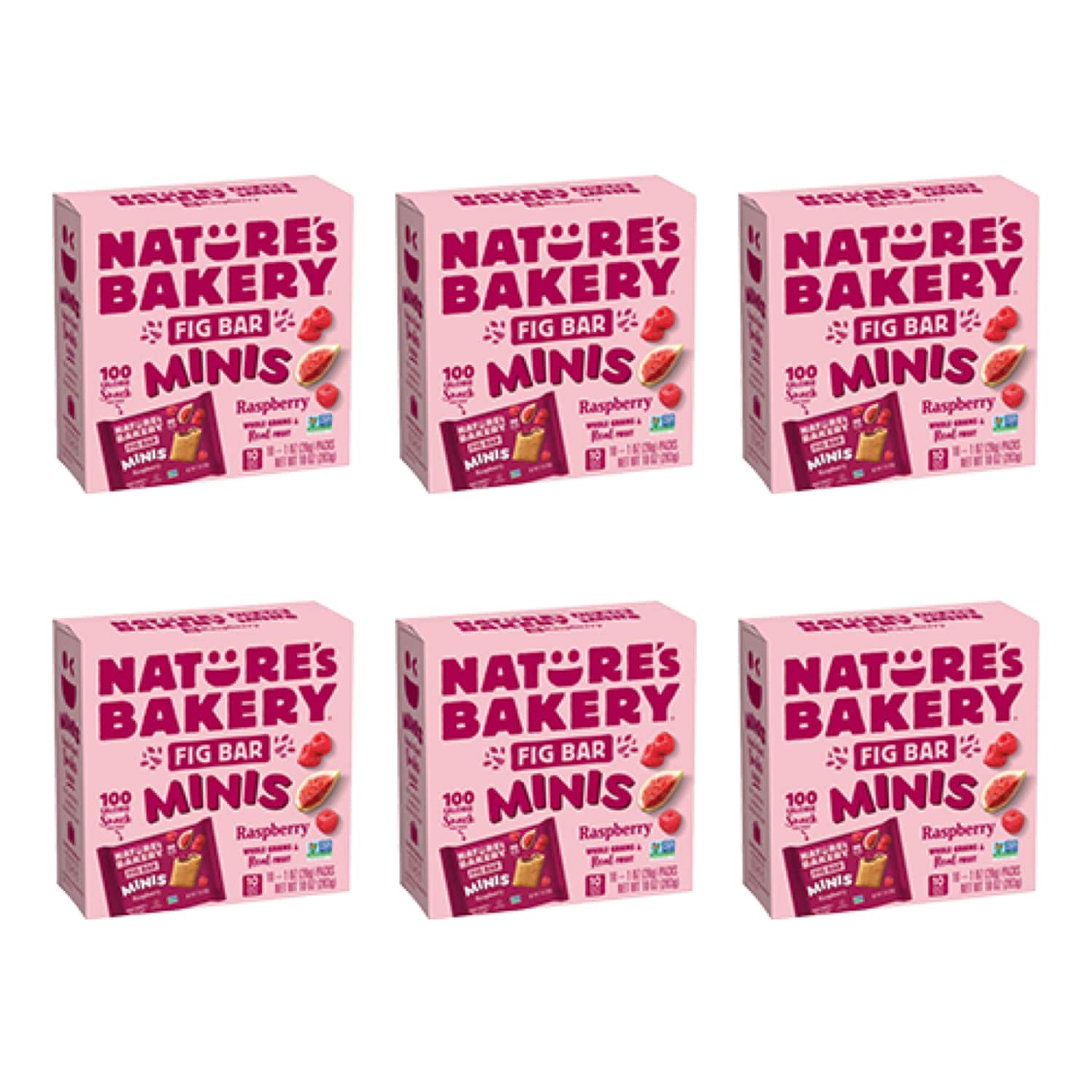 Nature's Bakery Fig Mini Bars, Raspberry, Case